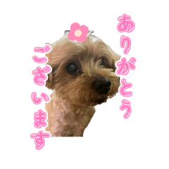 aichan_20251111135302