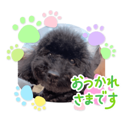 haruka_20251111152553