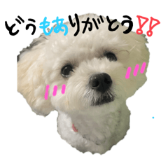 Haruna_20251111152058