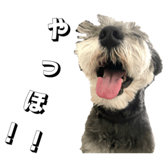 Bunchaaaan_20251111162543