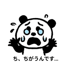 panda_20251111161136