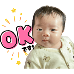 ojsn_k_20251111223125