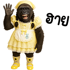 กอลิชุดหวานแหวว 02