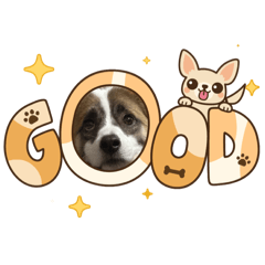 yuka_20251111190632