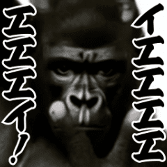 Party-loving Gorilla