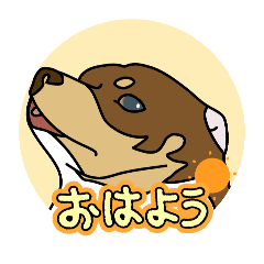 Cocoa stamps from Rinka