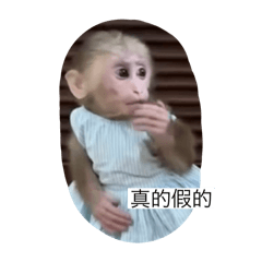 你真的很猴啦 第四彈