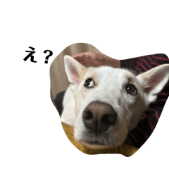 kawakamu_20251111201414