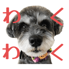 Bunchaaaan_20251111202646