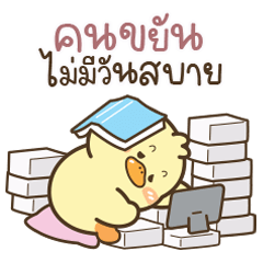 เป็ดน่ารัก “โมริ” V.22