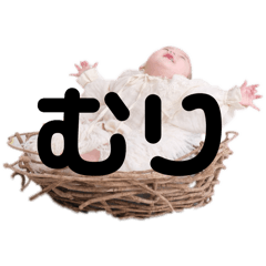 seira_20251111223657