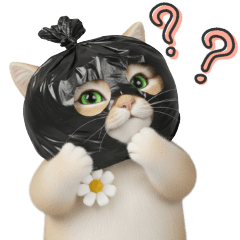 So Sneaky, So Sweet!