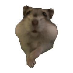 michan_20251112024340