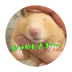 ponzu stamps.
