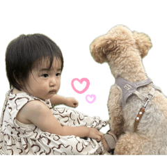 yuka_20251111230622