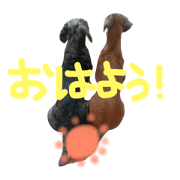 Ringo&Momo