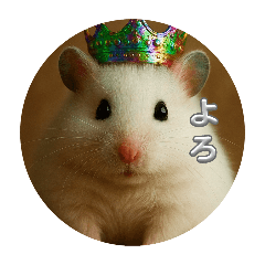 momoko_20251111211607