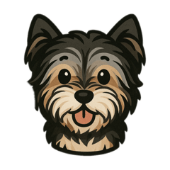 Shiho_20251112080037