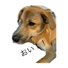 Betty_20251112091521