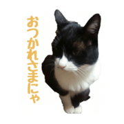 atom-nya2