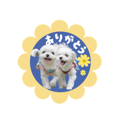 yunomama_20251111232321