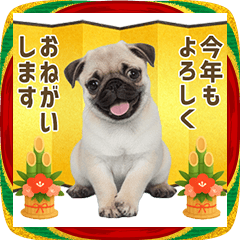 Year-end and New Year / Pug puppy