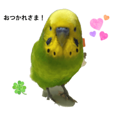 mochi_20251111170156