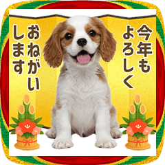 Year-end and New Year / cavalier puppy