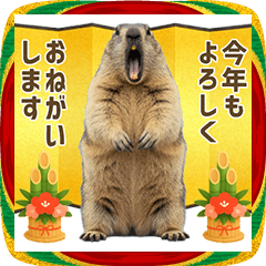 Year-end and New Year / marmot