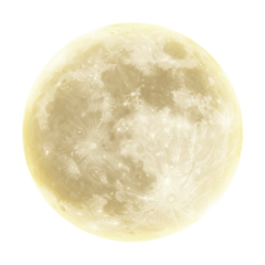 Kinako_20251111194022