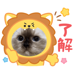 Jenny_20251112135608