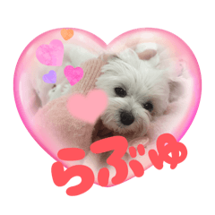 asuka_20251112140122