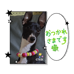 tomomi_20251112143147