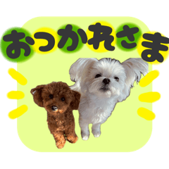 CHIHIRO_20251112154112