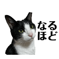 AKIKO_20251112002435