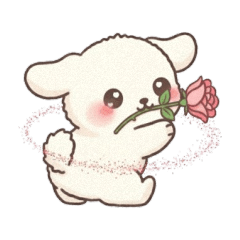 Little White's Happy Times