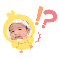 maple_20251112201705