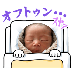 pochi_20251112175548