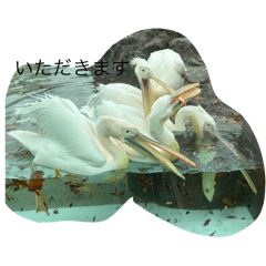 sumire_20251112180856