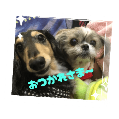 yuka_20251112230806