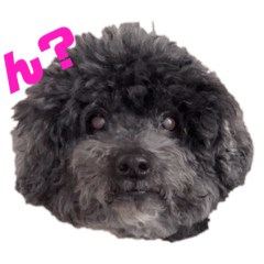 seira_20251112231534