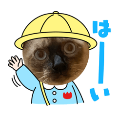 setsu_20251112231847