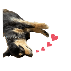 Fujiki_20251112174222