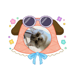 Pratchaya_20251112133511