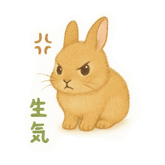 小兔泡芙的日常