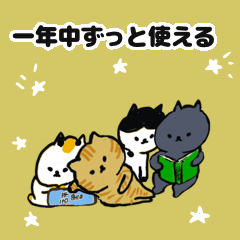 Japanese cats durinig the New Year