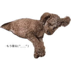 haruka_20251112193752