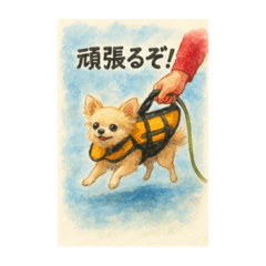 akikikiki_20251113044129