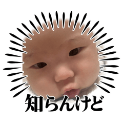 kaito_20251113061533