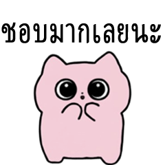 Pink Cat's True Feelings [For Fans Only]